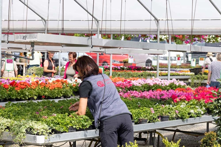 Eine Mitarbeiterin von Blumen Bruckmeier richtet Pflanzen.