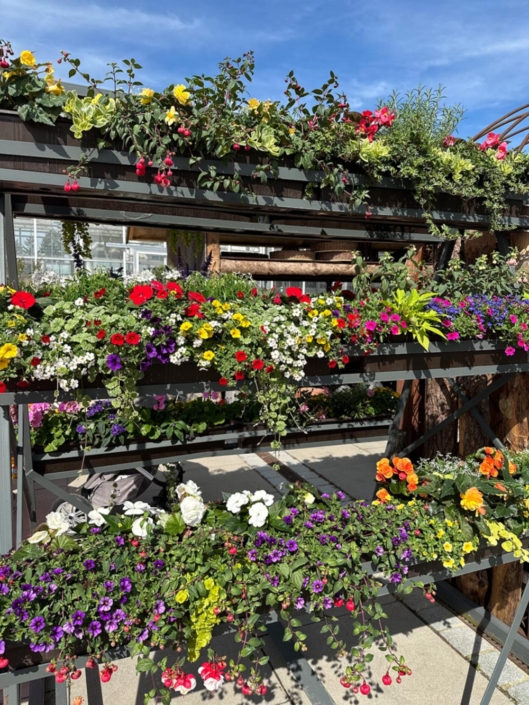 Tag der offenen Tür bei Blumen Bruckmeier.